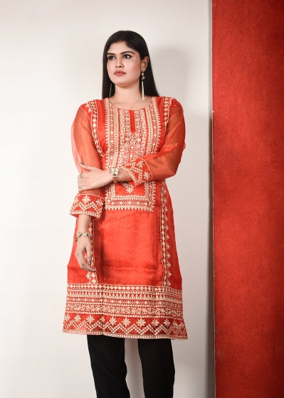 Pakistani One Piece -012